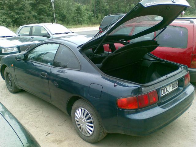Reborn 4