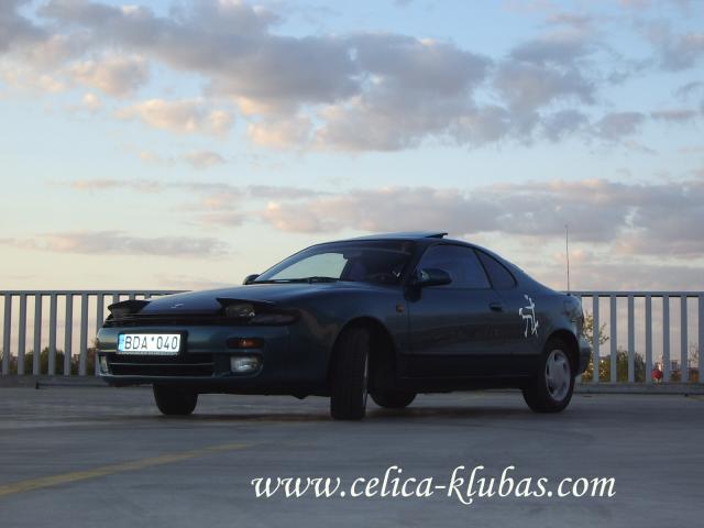 seip ant destopo tinka