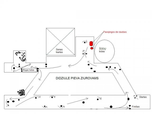 planas kaip pravaziuoti :)