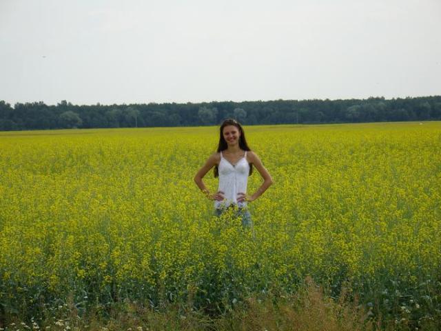 kita panele fotografe