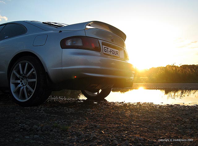 subtilus galinis bakelis