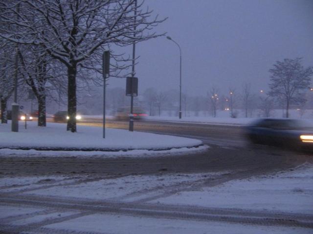 sniego senio rytas 8:00h.