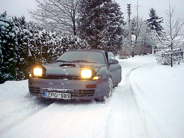 2007-02-06 ziema grizta.