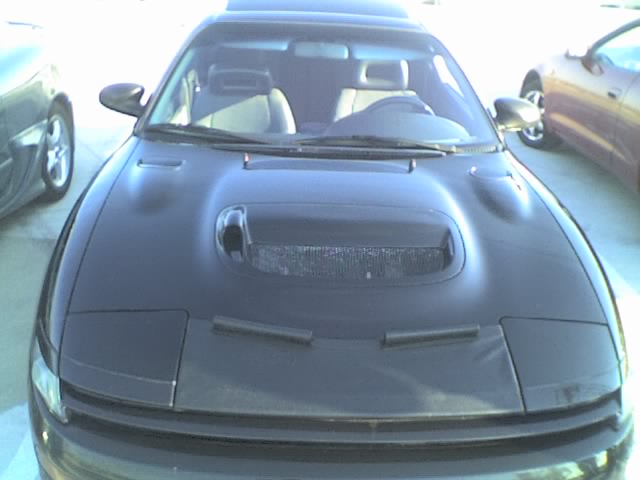 Daugiausiai demesio sulaukes naujokes(agniukes)