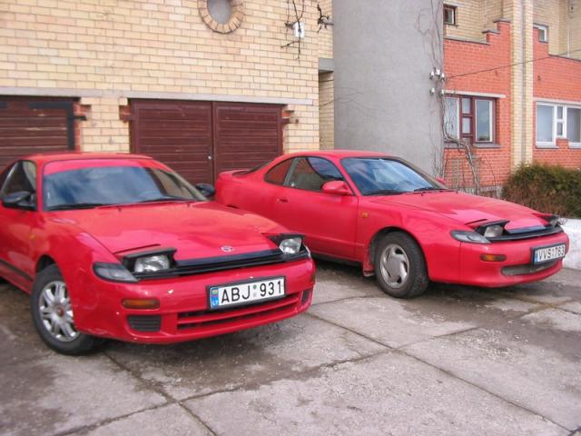 Gnydos ir aidelizz celicos