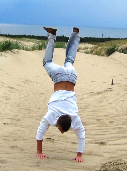 PylX ( kas cia sake is nugaros irgi reikia? :)))