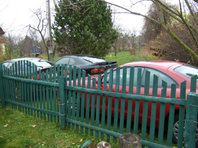 Celicos saslyku nevalgo,tai palikom uz tvoros:)