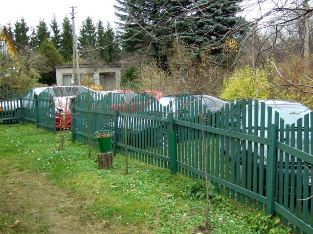 Kazin,sita tvora tiek celicu buvo macius anksciau?