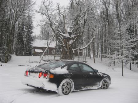 stelmužes ązuolo papėdeje