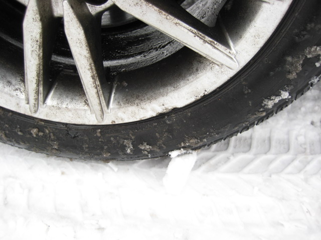 ratai irgi nukentejo