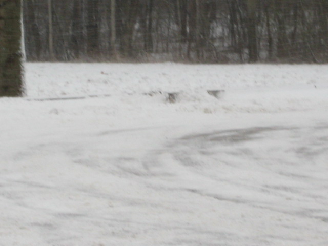 bortelis kaltininkas,ratu gadintojas