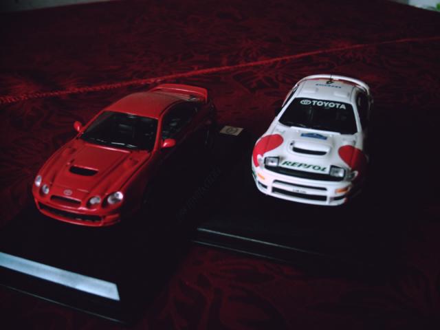 pasipilde mano garazas