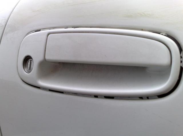 duru rankenele pries poliravima