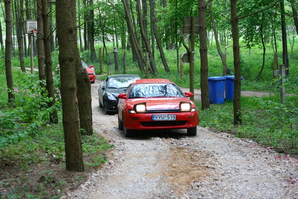 milzinas tempia shazo... :D