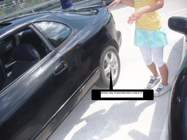 skodos ratai , tinka ir celicai :D