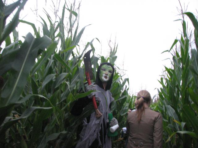 Giltine papjaunanti pasimetusius.JPG