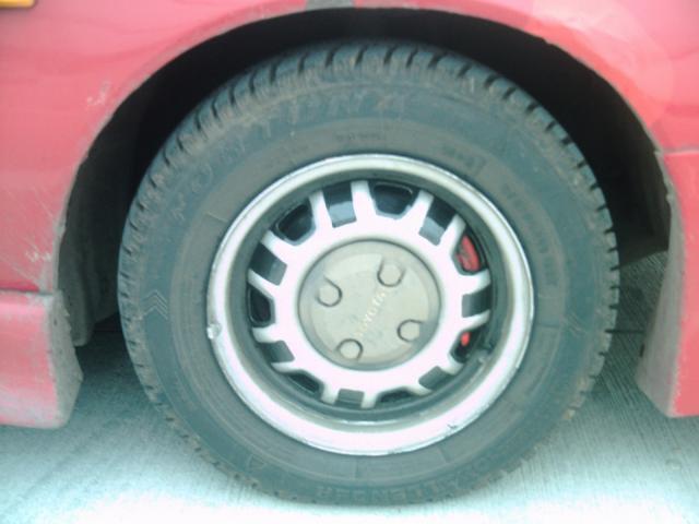 susirinkusiu apziura, ar visi pavyzdingai pasiruose ziemai :)