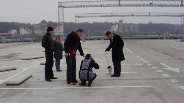visi per metrą nuo žvėries  :)