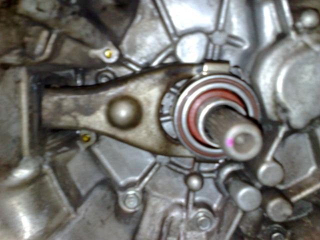 Keiciam isminamaji guoli.