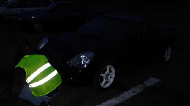 absoliutus nugalėtojas Ignas Domeika