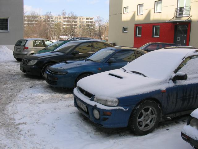 grazus savaitgalio vaizdelis - dvi melynos 