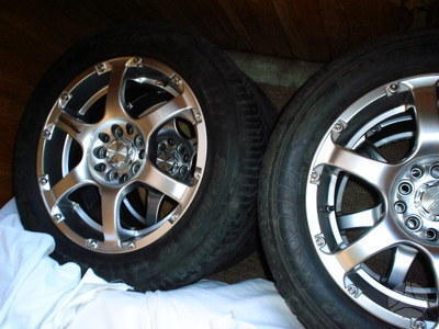 grazuoliai laukia pavasario=]