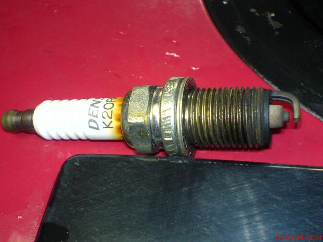 kas tie rudi aplink zvake???