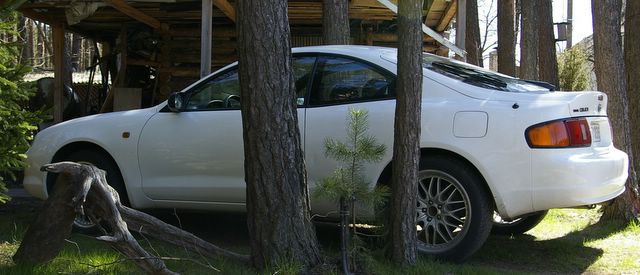 kelios dienos po isigyjimo.. :) 