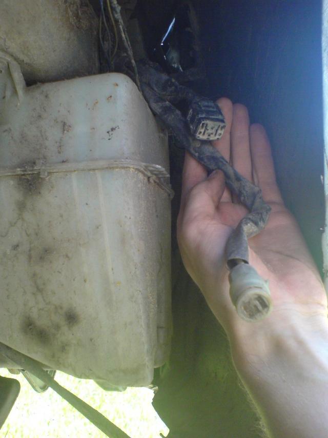 Fiskes bet netos man atrodo nes netinka, lygtais cia lempų apiplovimui, ar klystu?