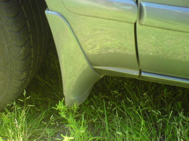 Reiktu tokio dar vieno purvasaugio priekinio desinės pusės