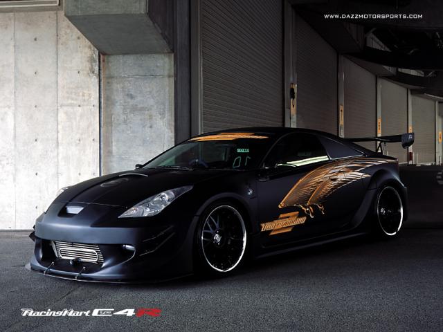 Swajone tokia tureti