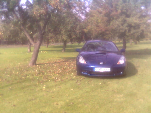 niekada gyvenime nepamirsiu...