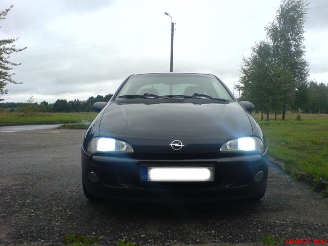 turiu tigriuka, bet laabai noriu selikutes