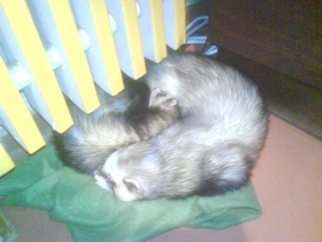 Mano ir draugės mažučiai