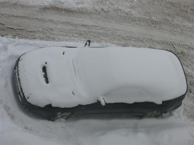 sniegelis, bet jau po metų