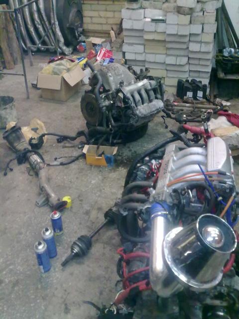 pravodkes belaukiant.jpg