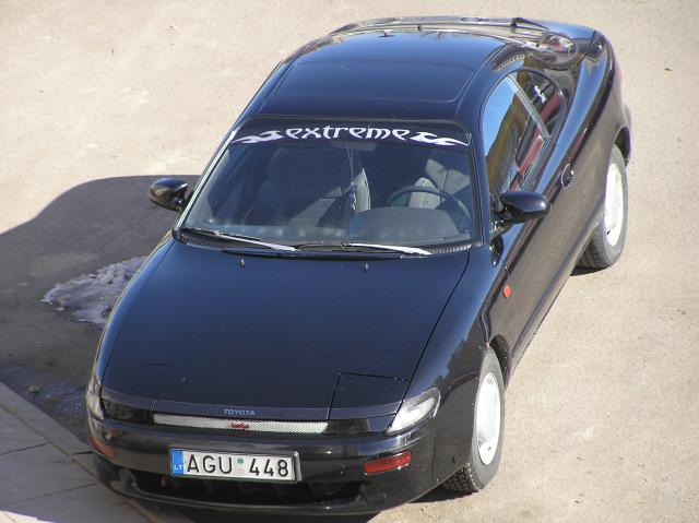 Dar vienas paukscio skrydis 