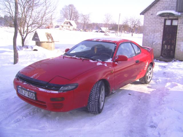 Pirmasis rytas mano kieme :)