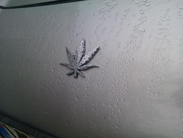 vietoj Toyotos logo ;]