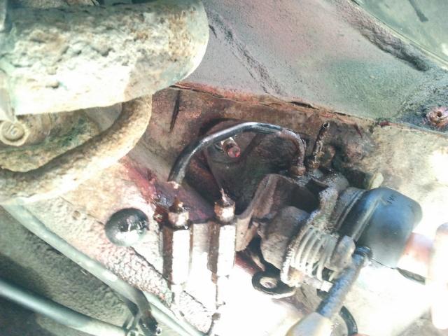 2011-07-26 15.48.55.jpg